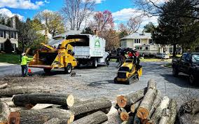 Best Tree Risk Assessment  in Shil, OH
