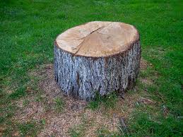Best Lawn Grading and Leveling  in Shil, OH