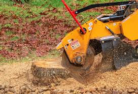 Best Grass Overseeding  in Shil, OH
