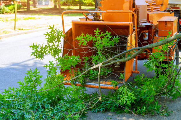 Best Lawn Irrigation Installation and Maintenance  in Shil, OH