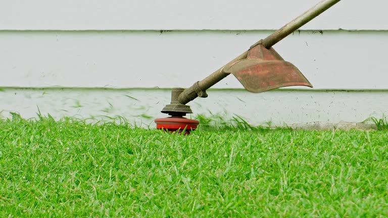 Trusted Shiloh, OH Tree Services Experts