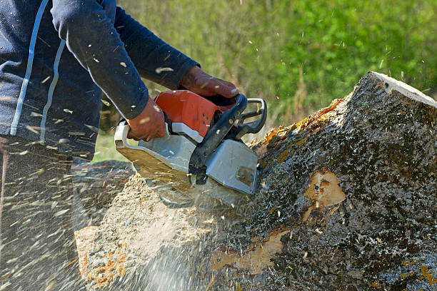 Lawn Watering Services in Shiloh, OH
